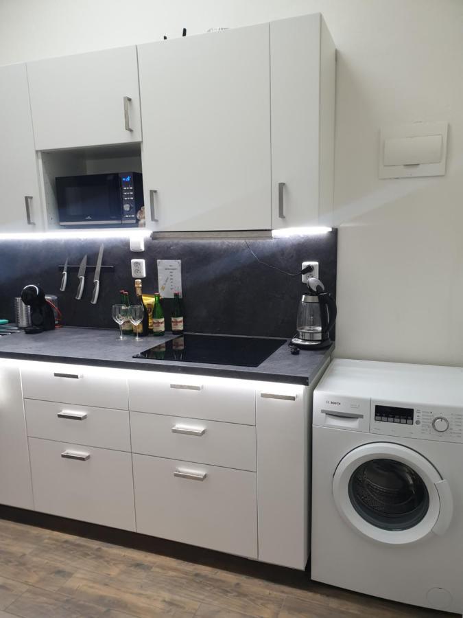 プラハSvetly Prostorny Byt V Karlineアパートメント エクステリア 写真